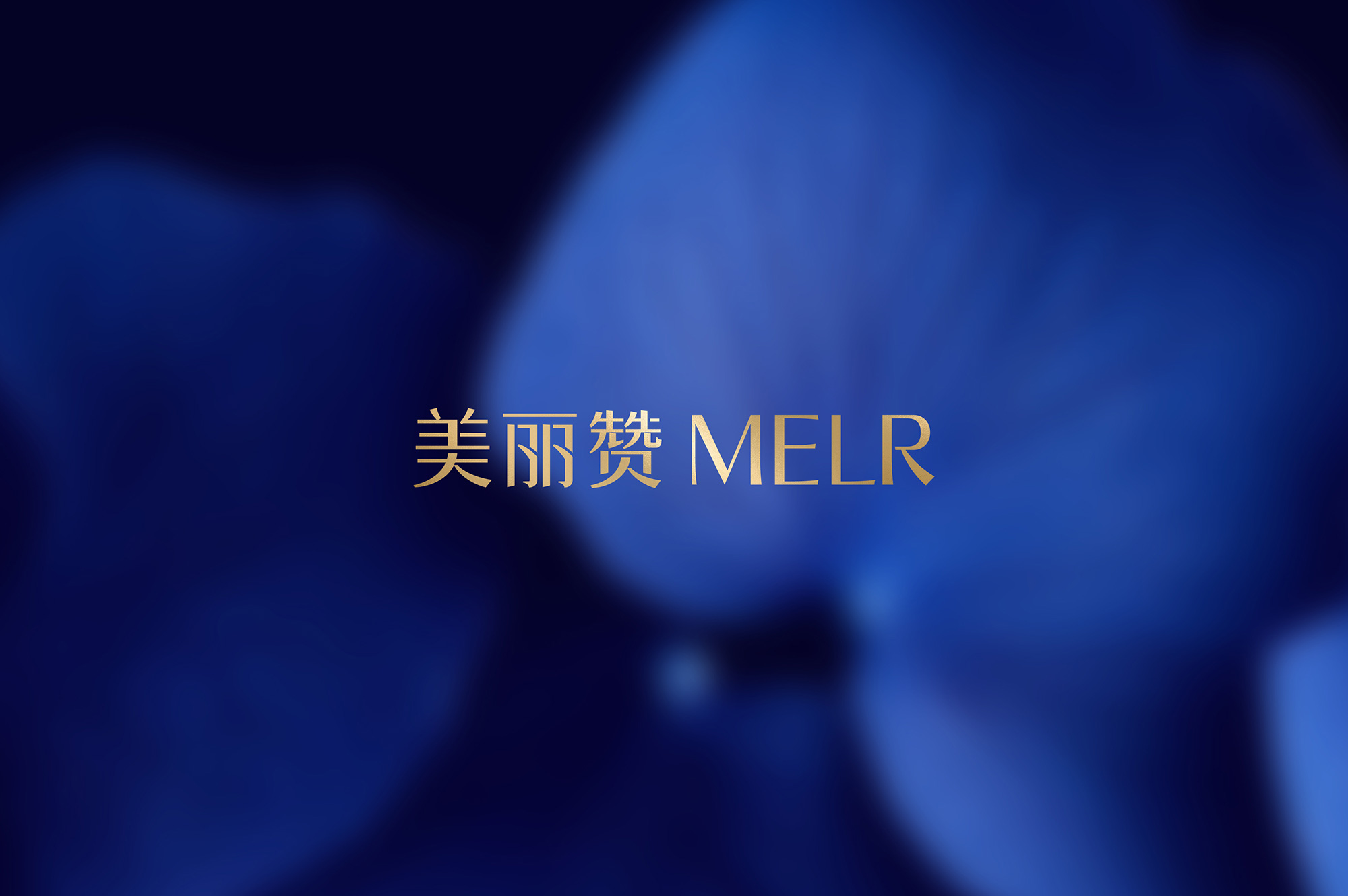 美丽赞