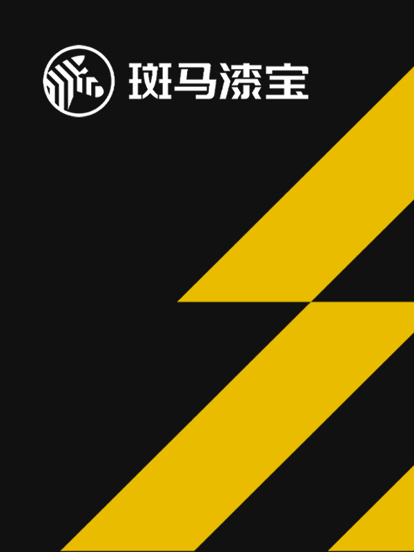 斑马漆宝